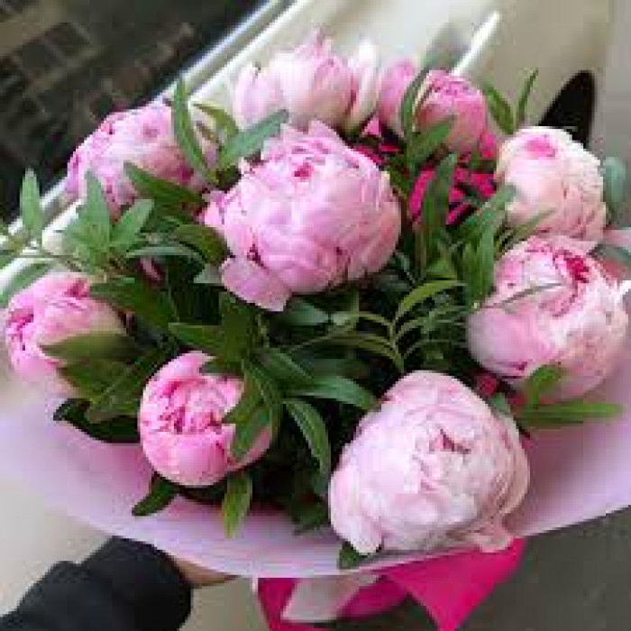 Пион древовидный в Хромтау