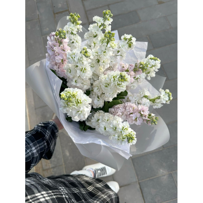 Маттиола в Хромтау