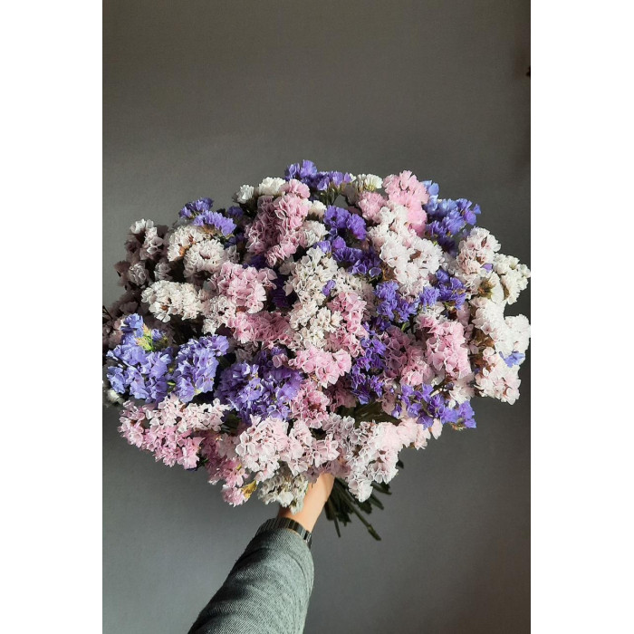 Статица (Лимониум) в Хромтау