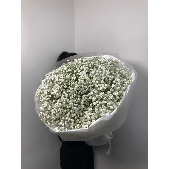 Гипсофила классическая в Хромтау