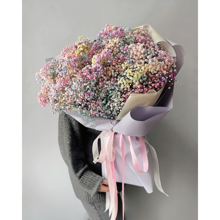 Гипсофила цветная в Хромтау