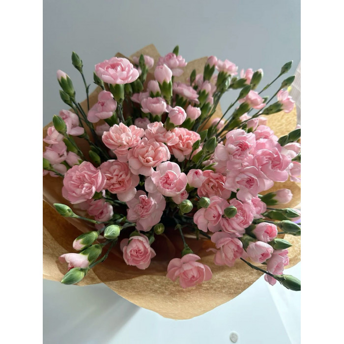 Кустовые гвоздики в Хромтау