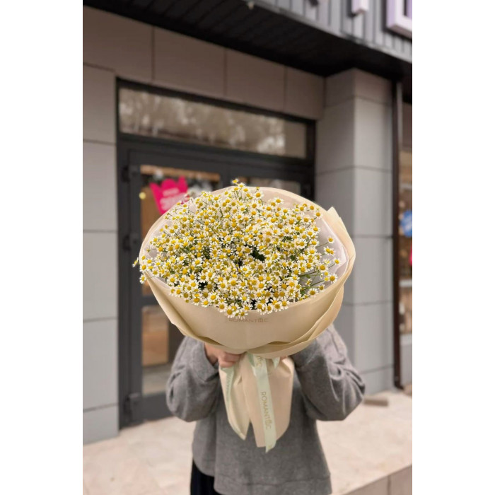 Танацетум в Хромтау