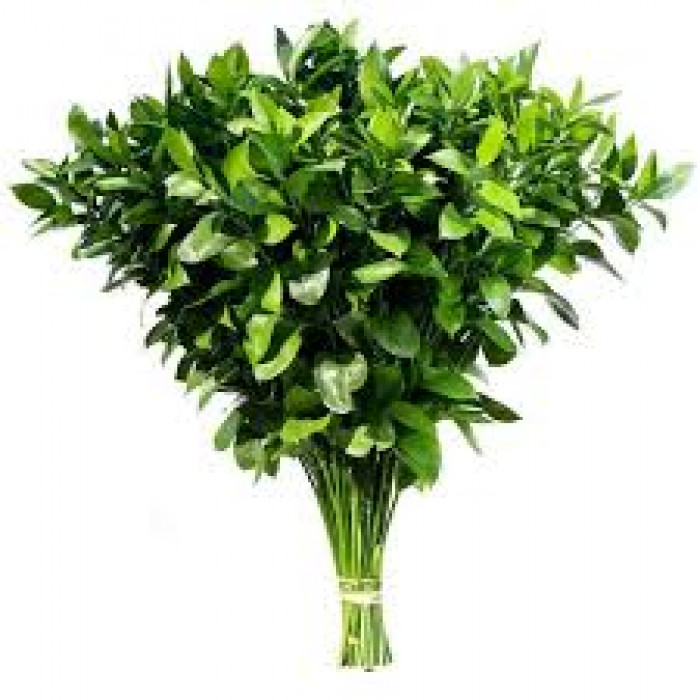 Рускус в Хромтау